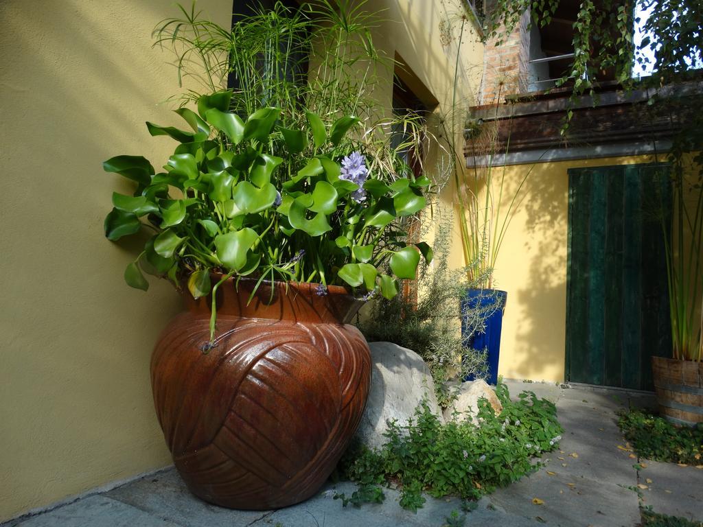 Agriturismo Casa De Colores Moretta 外观 照片