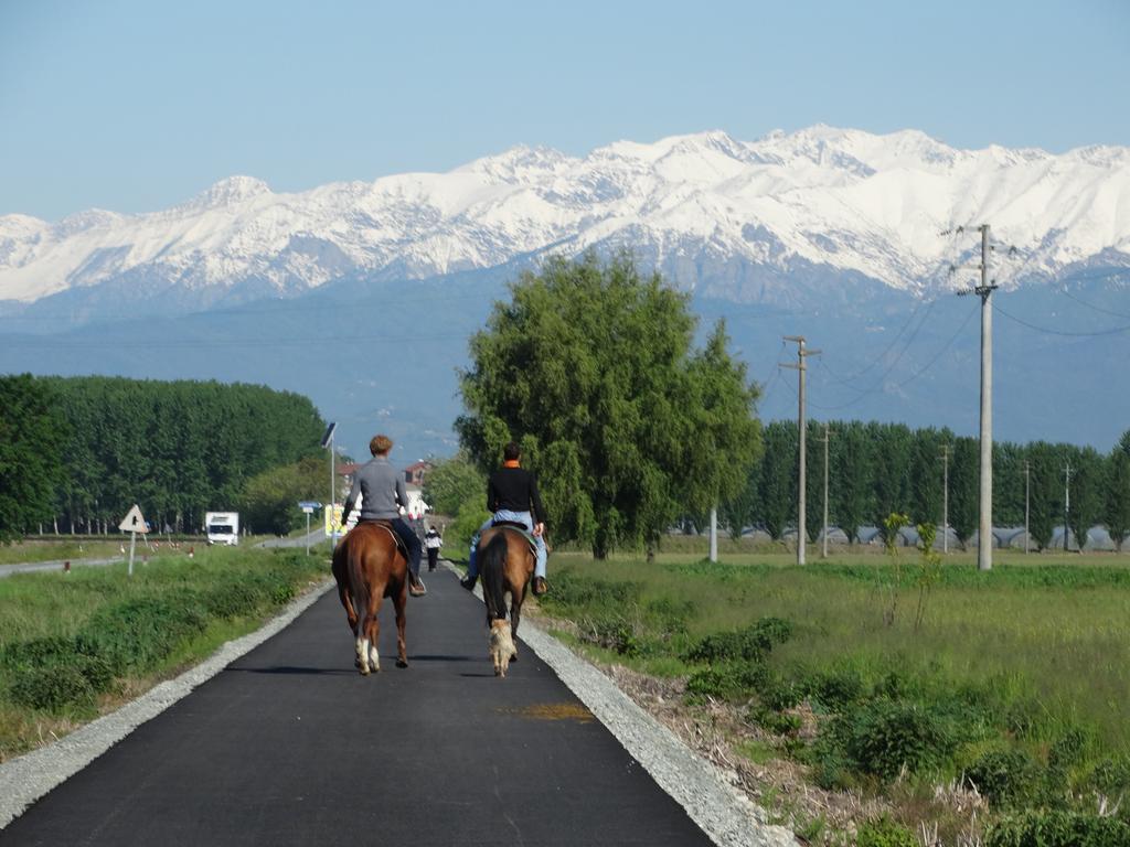 Agriturismo Casa De Colores Moretta 外观 照片