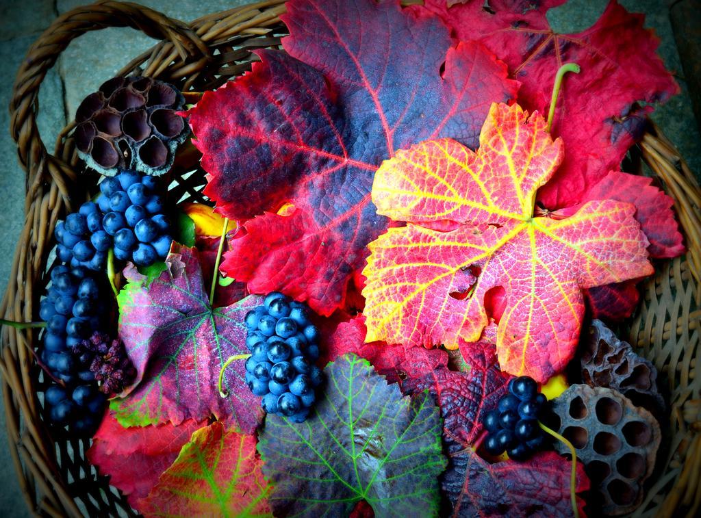 Agriturismo Casa De Colores Moretta 外观 照片