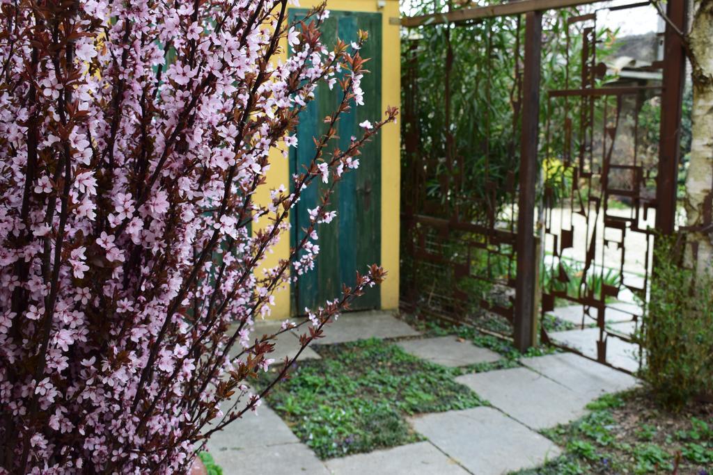 Agriturismo Casa De Colores Moretta 外观 照片